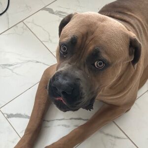 Meet your Posher, Sherice